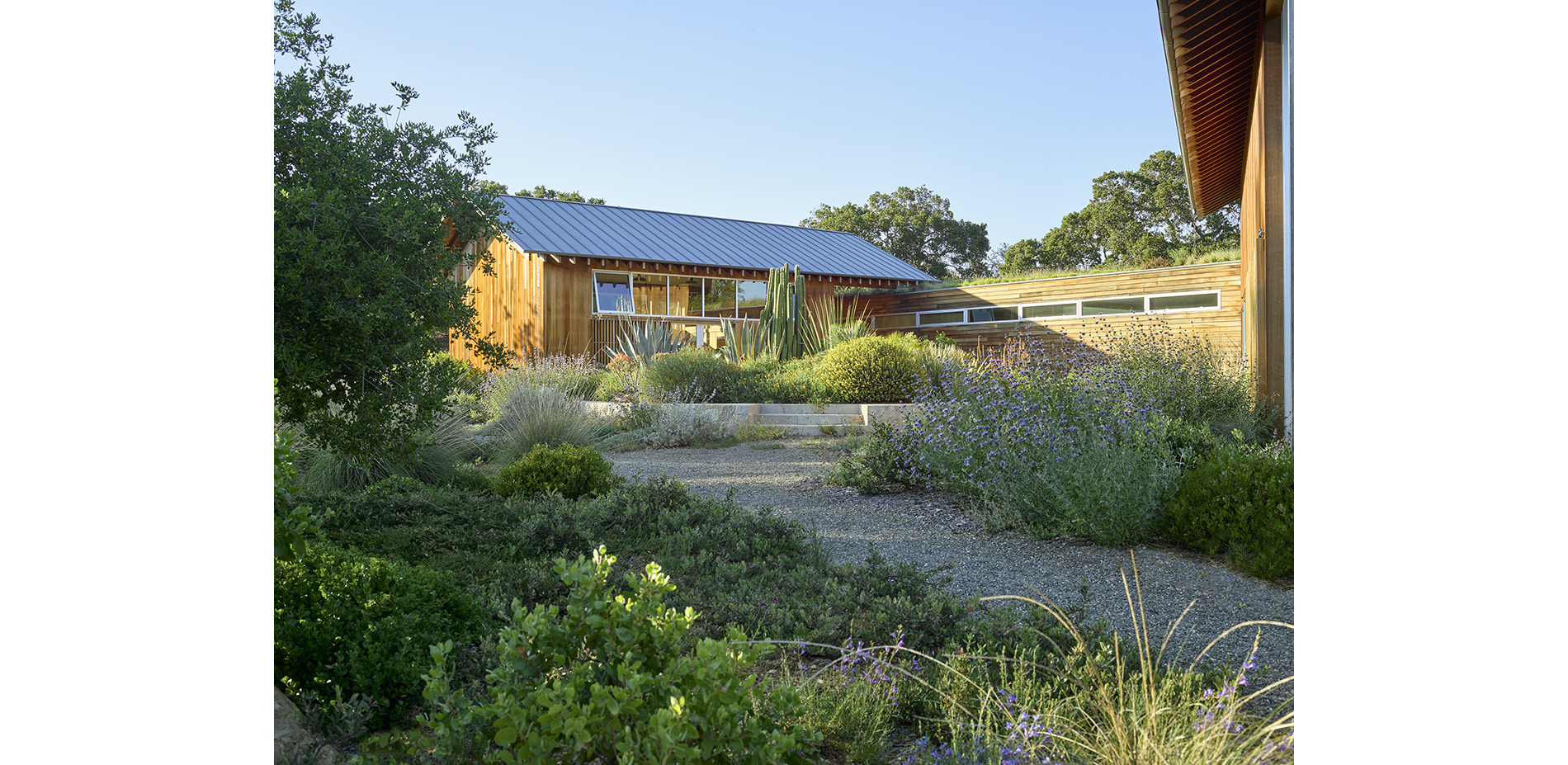 Ground Level Garden with Stone Circle Planter